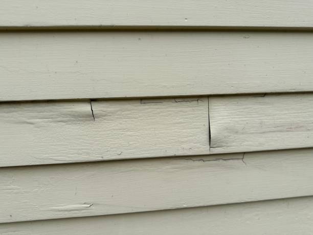 Best James Hardie Siding  in Vilge St George, LA